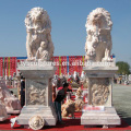 Antique Chinese large outdoor paid of stone lion sculpture for garden